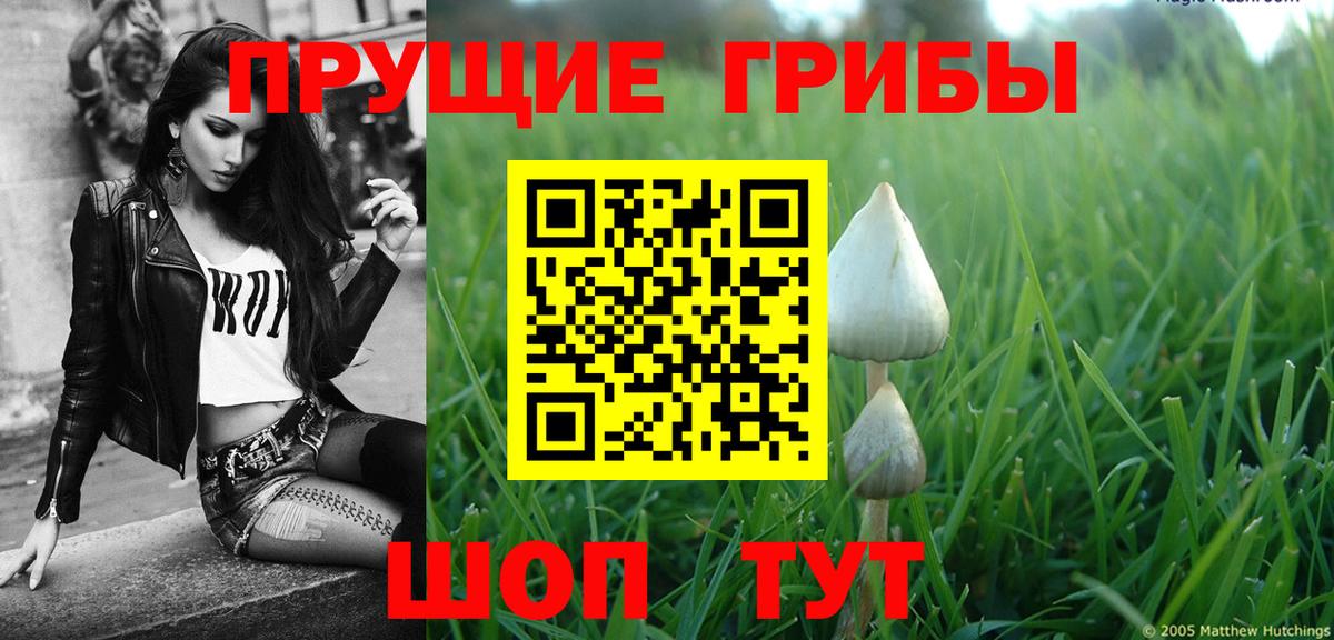 Псилоцибиновые грибы Magic Shrooms Сертолово