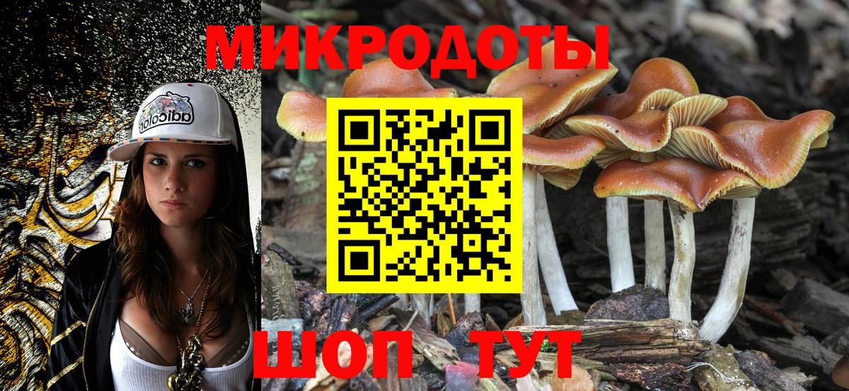 Сертолово  Псилоцибиновые грибы Psilocybe  Псилоцибиновые грибы мицелий  Вход с VPN 